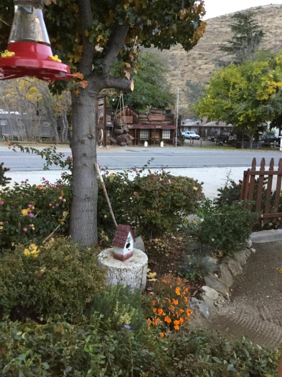 Sequoia Lodge Kernville Εξωτερικό φωτογραφία